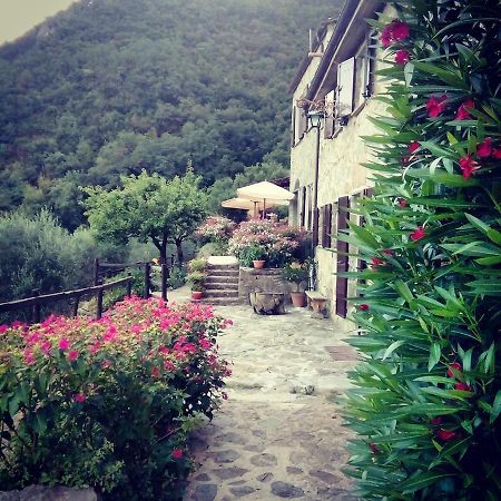 Farmhouse B&B Castagnola 64 Ne ภายนอก รูปภาพ