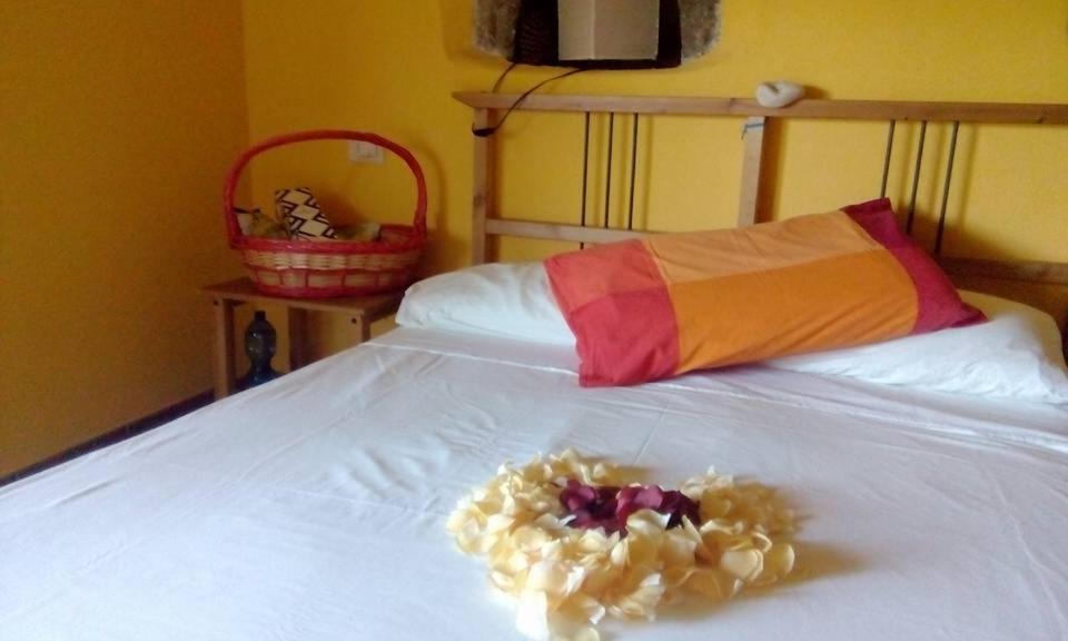Farmhouse B&B Castagnola 64 Ne ภายนอก รูปภาพ